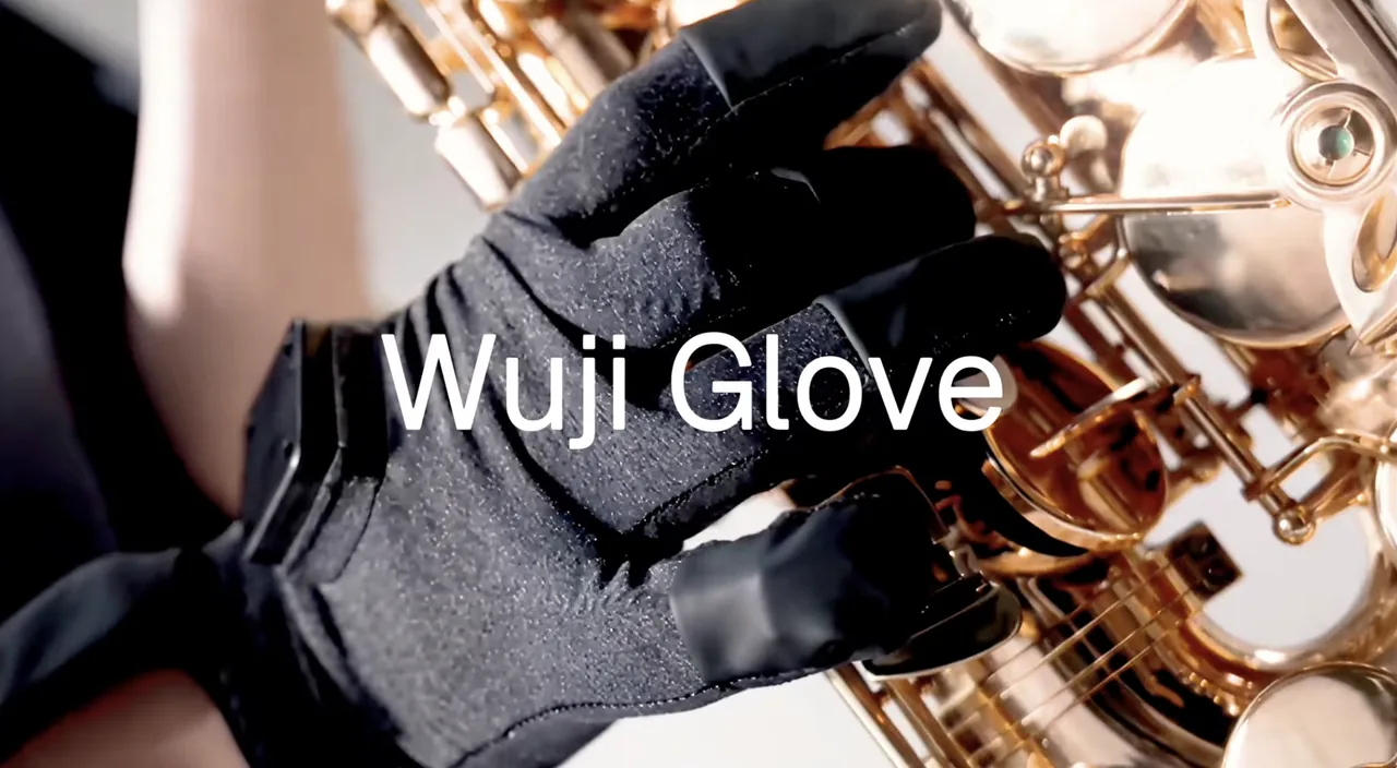 Wuji Glove による遠隔操作